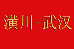 潢川到武汉顺风车
